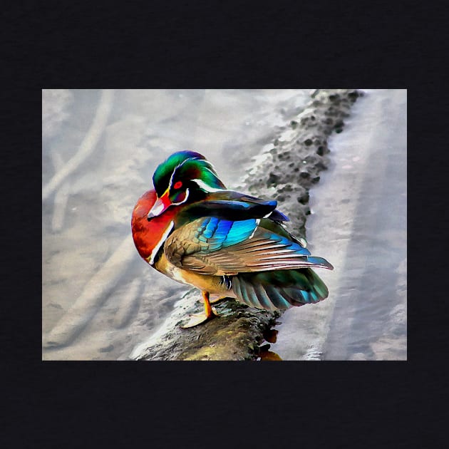 Wood Duck with Watercolor Effects by SeaChangeDesign